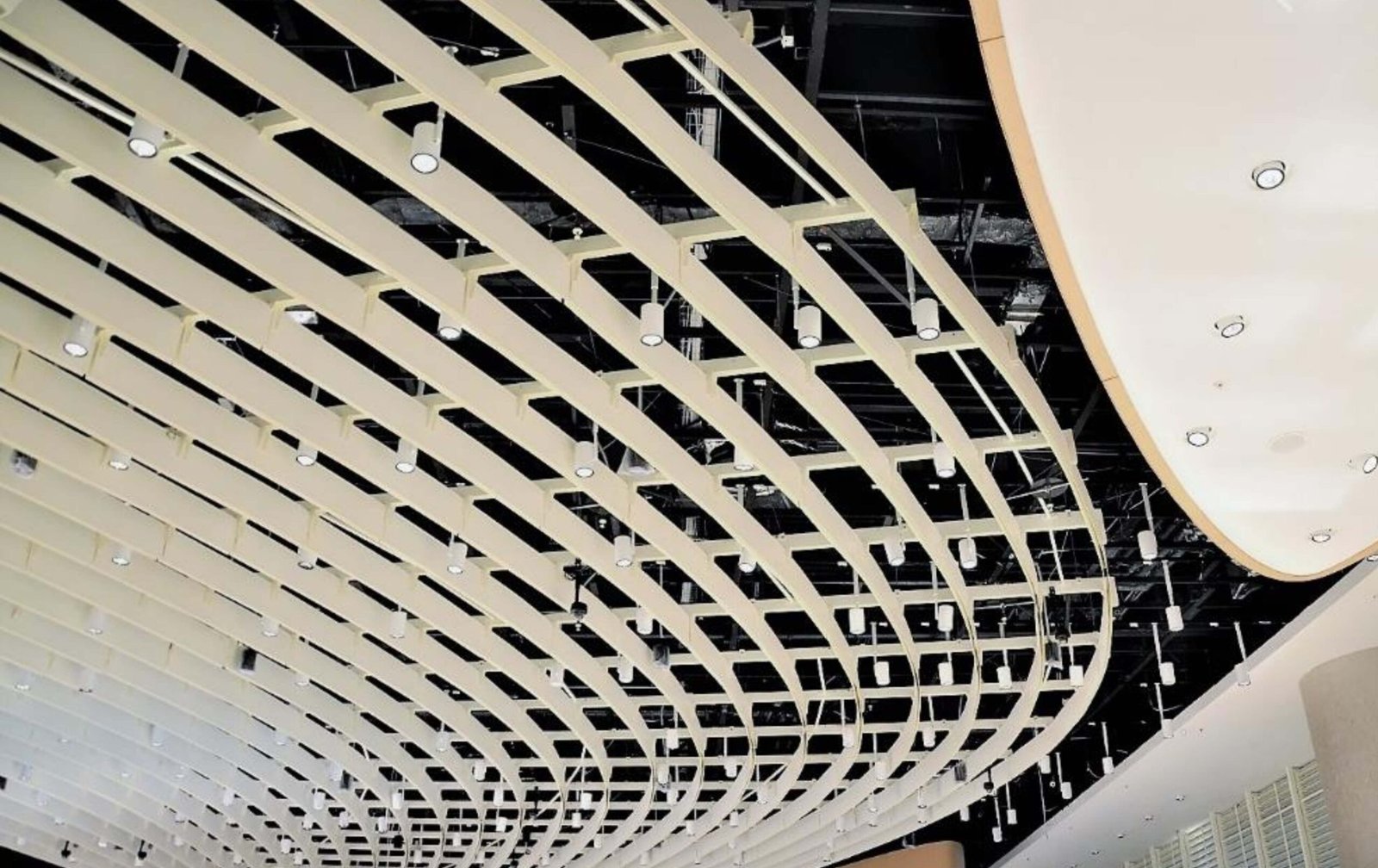 Metal Ceiling